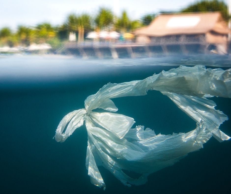 plastic floating in the ocean