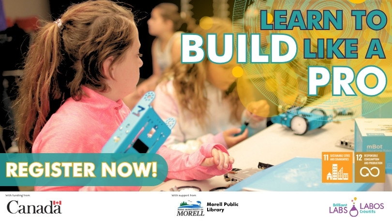 Morell Public Library Drop In feature image